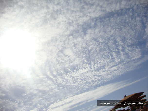 photo 334271