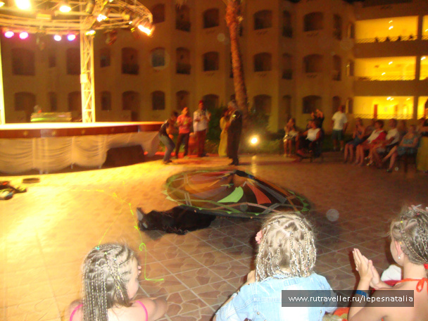 photo 385597