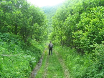 photo 107295