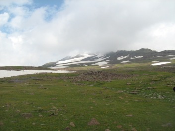 photo 111435