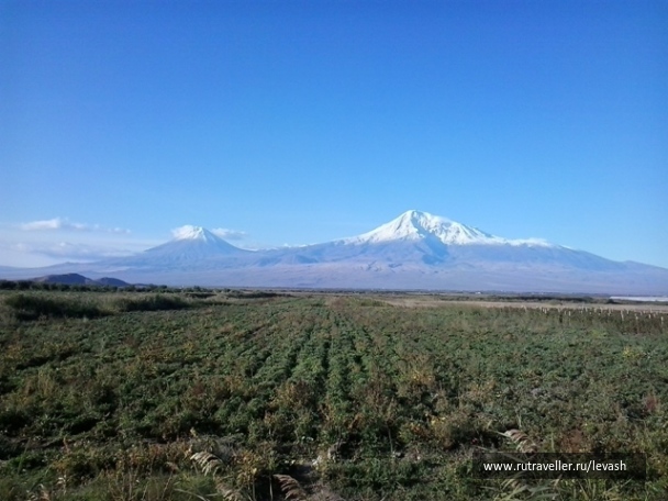 photo 1165152