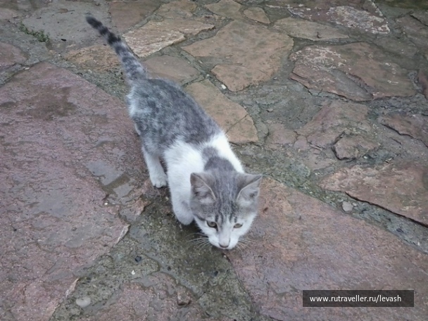photo 1165153