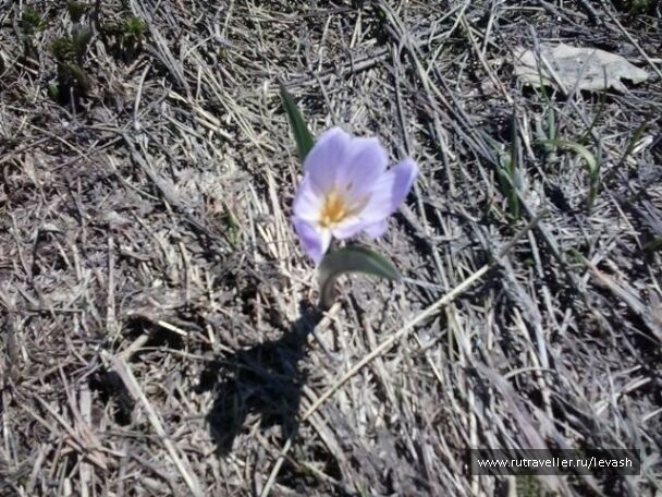 photo 364680