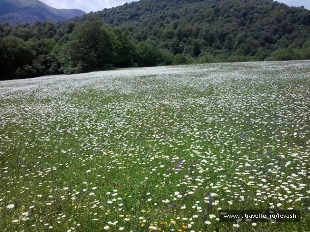 photo 394677