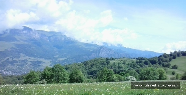 photo 394679