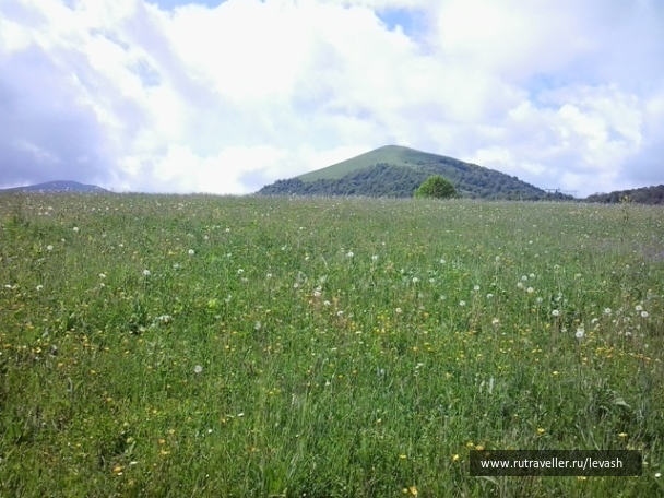 photo 394680