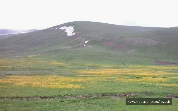 photo 394681