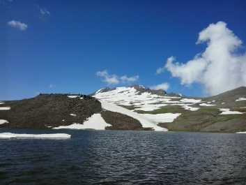 photo 409640