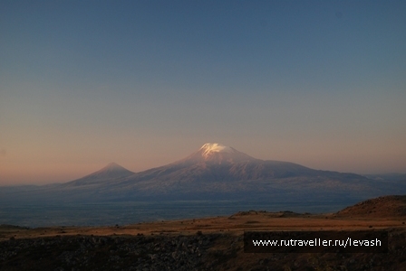photo 540413