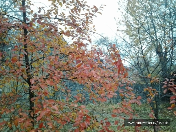 photo 586039