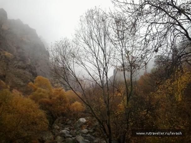 photo 586040