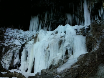 photo 629045