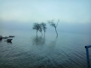 photo 629046