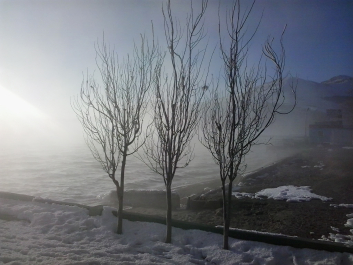 photo 629051