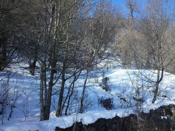 photo 629059