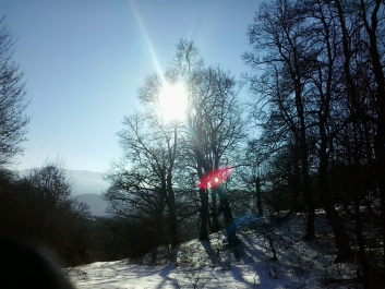 photo 629060