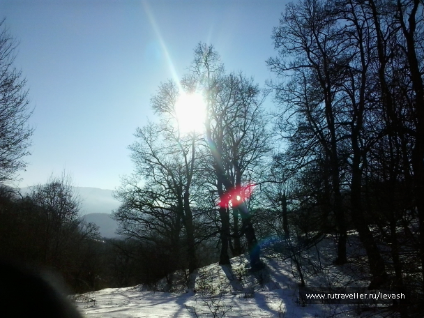 photo 629060