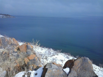 photo 629063