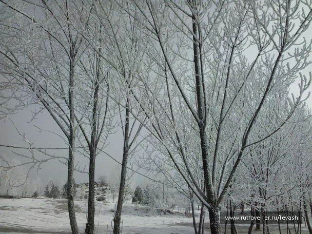 photo 629069