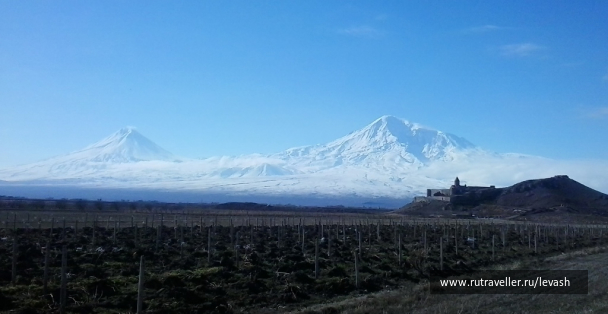 photo 649377