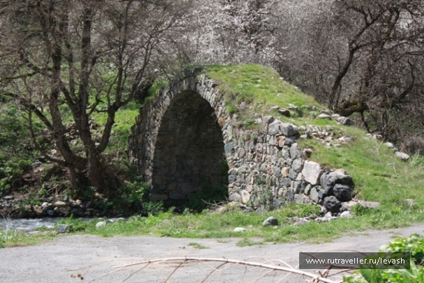 photo 670757