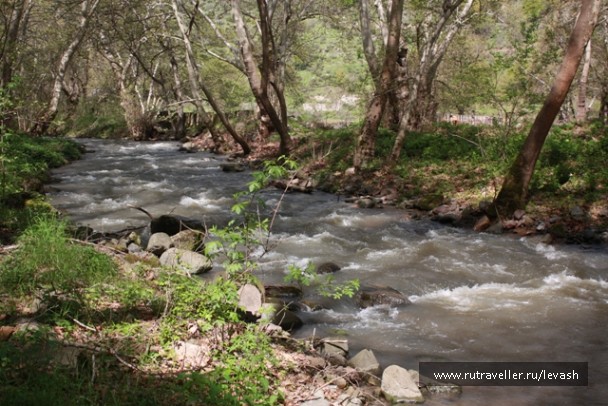 photo 670759