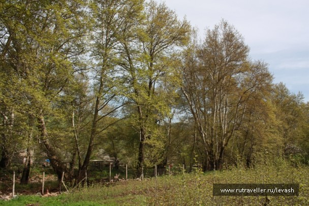 photo 671014