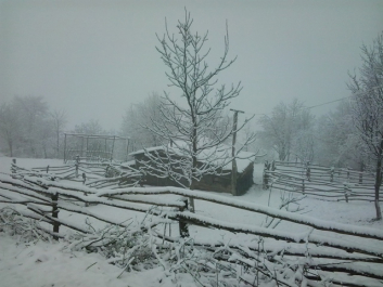 photo 703400