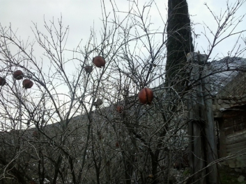 photo 703402