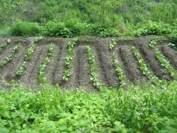 photo 744152