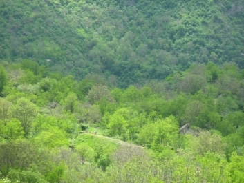 photo 744155