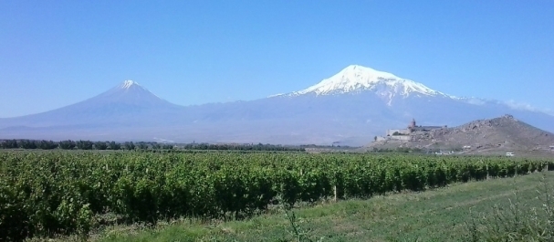 photo 767881
