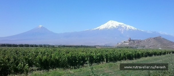 photo 767881