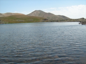 photo 822986