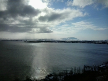 photo 961528