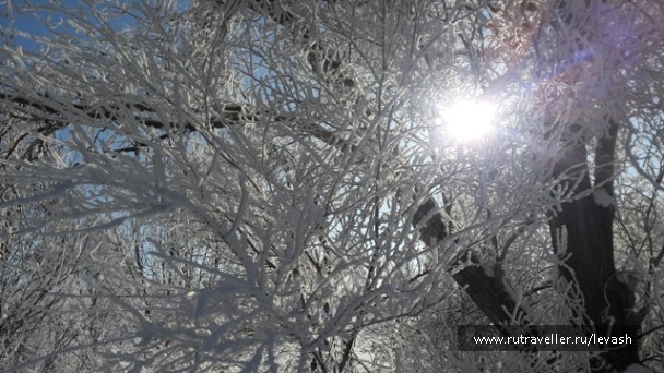 photo 1424753