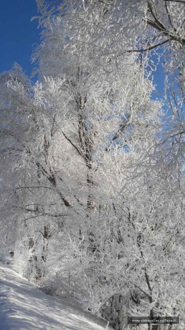 photo 1424754