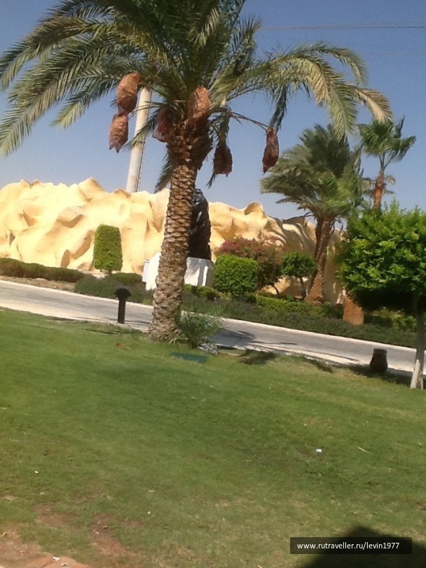 photo 1080771