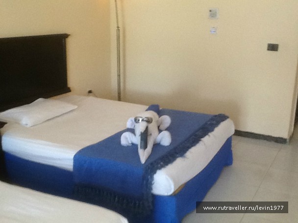 photo 863560