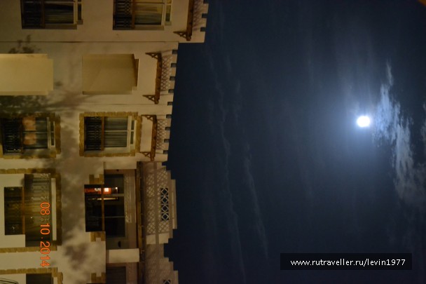 photo 1082778