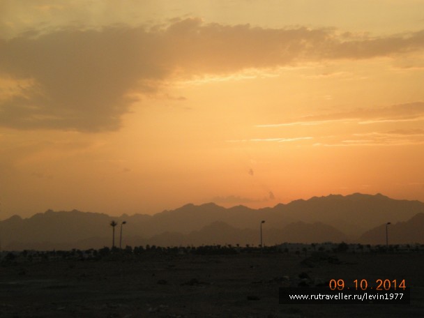 photo 1082784