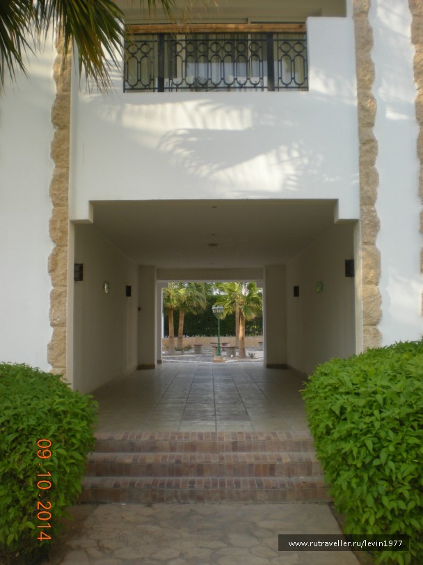 photo 1082793