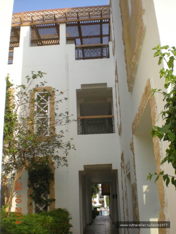 photo 1082794