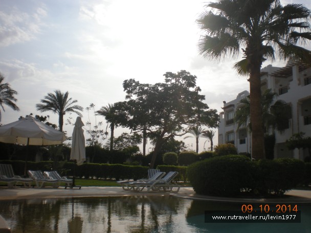 photo 1082797