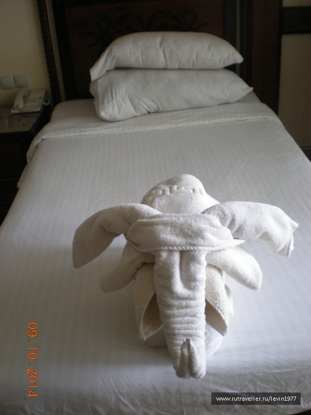 photo 885021