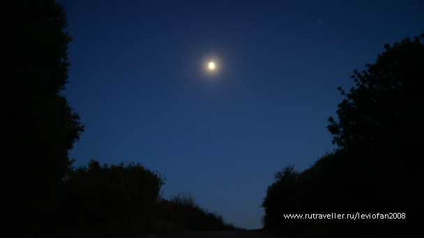 photo 333642