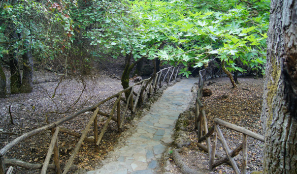 DSC07238