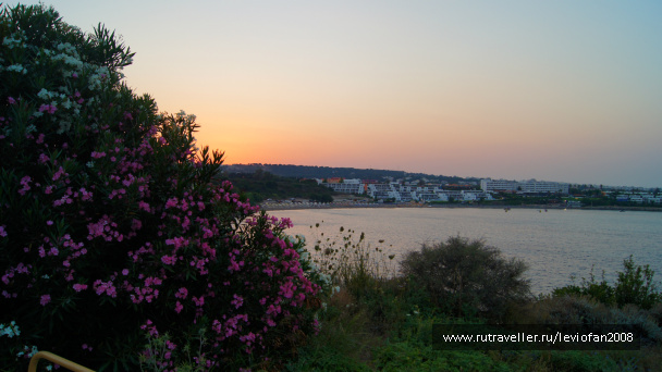 photo 342971