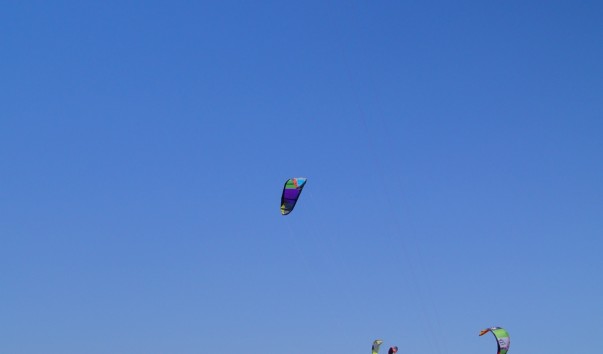 DSC07061