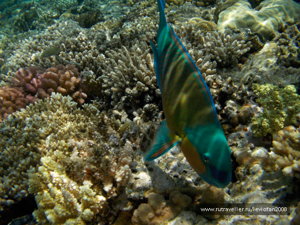 photo 438153